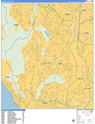 Laguna Niguel  Wall Map Basic Style